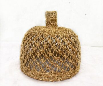 WhatsApp Image 2026-01-09 at 11.14.34 AM