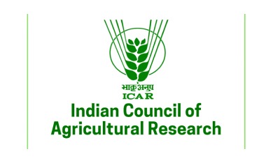 ICAR LOGO