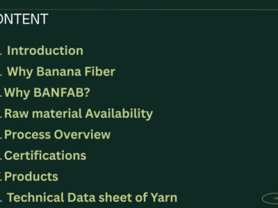BANFAB PPT.pptx-2