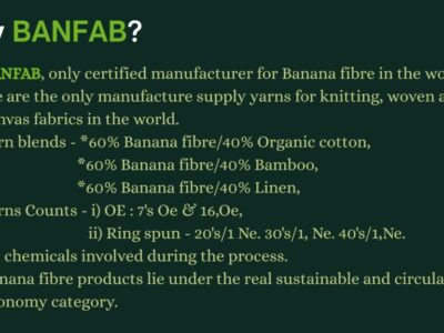 BANFAB PPT.pptx-5